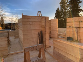 Upper floor interior walls growing